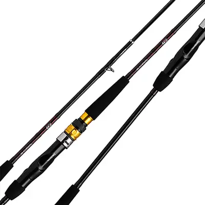 다이와 타치우오 X