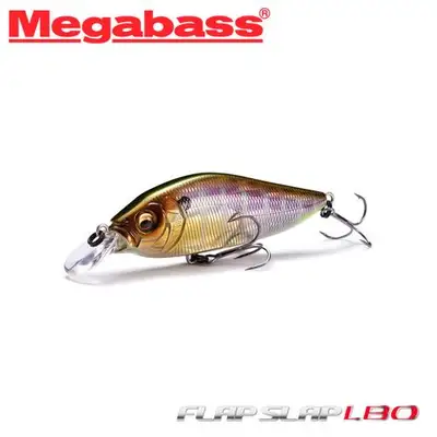 메가배스 플랍스럽 LBO