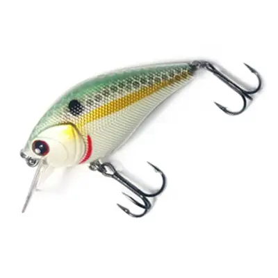 케이굿 비씨 1.5 60에프