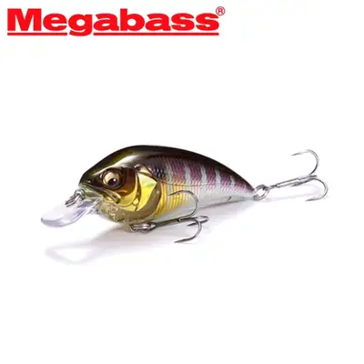 메가배스 슈퍼-제트 제트원