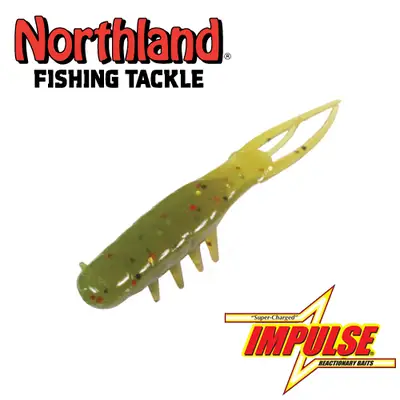 노스랜드 임펄즈 스커드벅