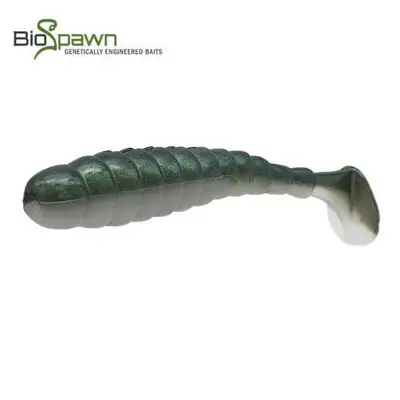 바이오스폰 엑소 스윔