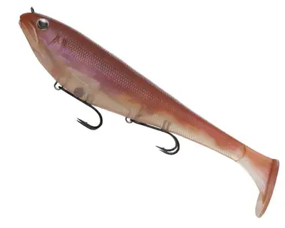 피쉬애로우 비비드 크루즈 150