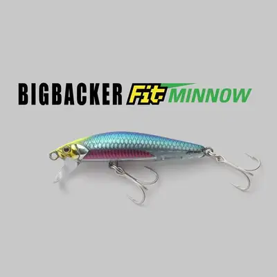 자칼 빅 백커 피트 미노우