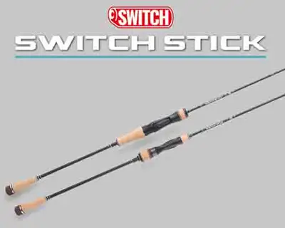 엔에스 스위치 스틱