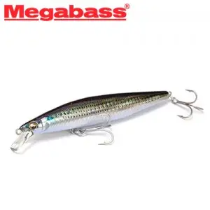 메가배스 마린 갱