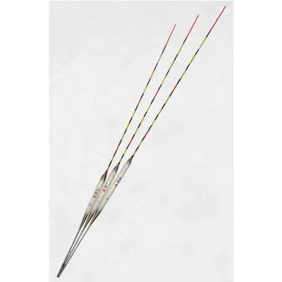 차이조구 N무패