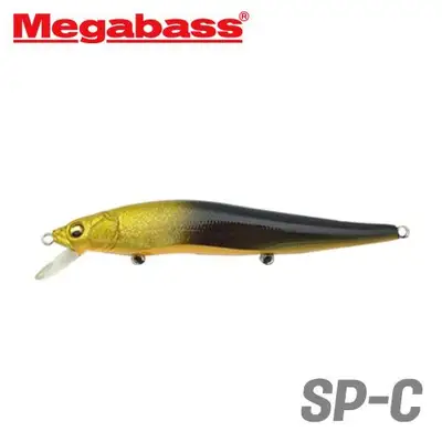 메가배스 비전 원텐 스페셜 컬러