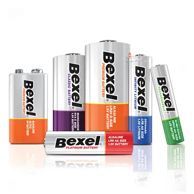 벡셀 알카라인 건전지