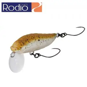 로데오크래프트 RC 시케이다