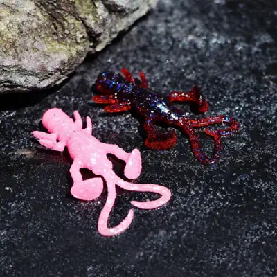 자칼 베이비 드래곤 솔트2 RF