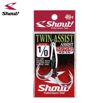 샤우트 트윈 어시스트