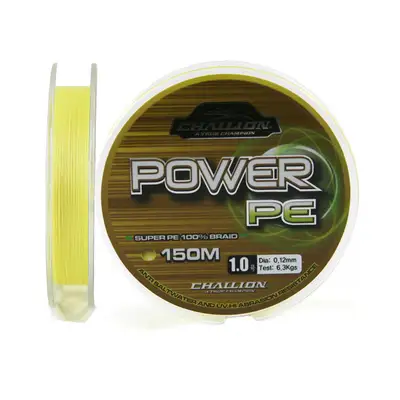 챌리온 파워 PE X8