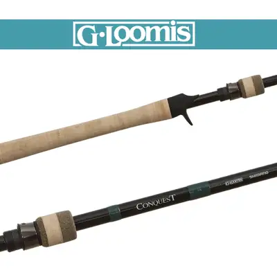 지루미스 콘퀘스트 MBR