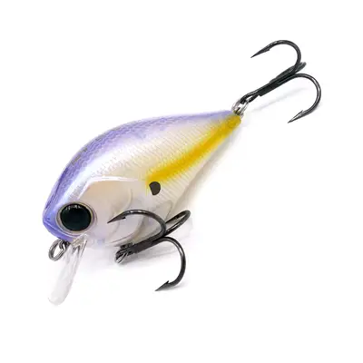 다미끼 비티씨 60