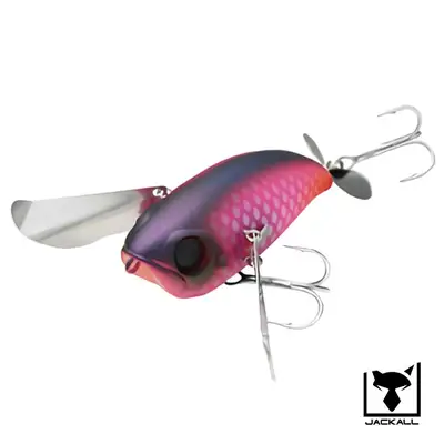 자칼 퐁파도르 주니어