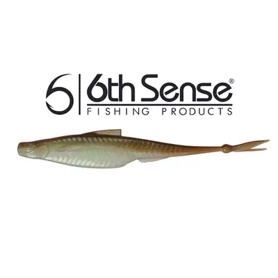 식스센스 플러쉬