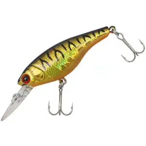 비비 비비쉐드60SP