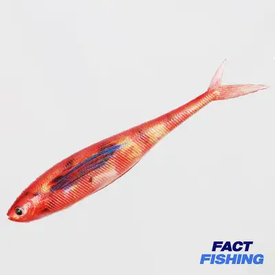 팩트피싱 매드리얼 4K