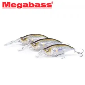 메가배스 아이바이아이 쉐드