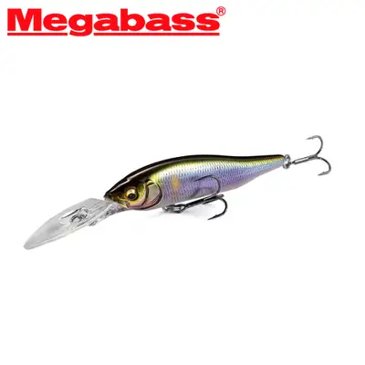 메가배스 엑스 나나한+2