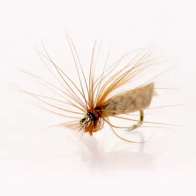 에스에스피싱 플라이 님프 7A