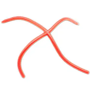 레인즈 크로스 스왐프 스키니