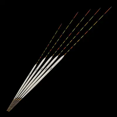 미분류 에스 포지션 보통