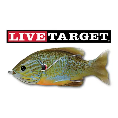 라이브타겟 할로우바디 선피쉬