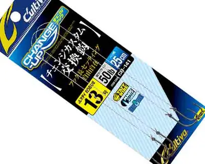 오너 체인지 커스텀