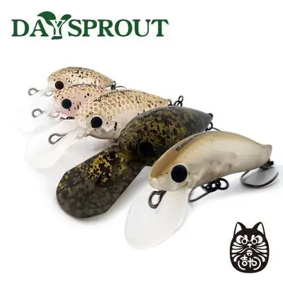 데이스프라우트 키티야 콜라보레이션 컬러