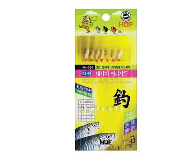 챌리온 오로라카드