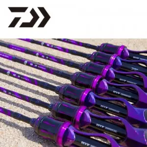 다이와 쿄우가 에어