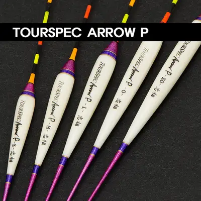 타다스케 투어스펙 애로우P