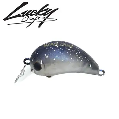 럭키크래프트 와 26HF