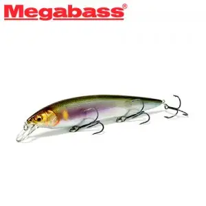 메가배스 카나타 아유