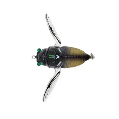 티엠코 시카다 점보