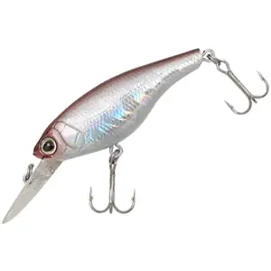 비비 비비쉐드 48SP