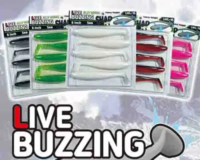 뎁스 라이브 버징 쉐드