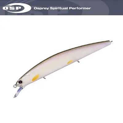 오에스피 루드라