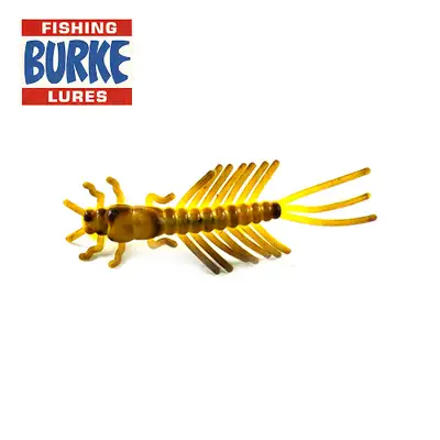 버크 BT102 브라운 메이플라이 님프