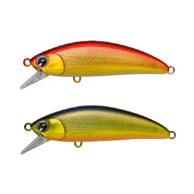 아이마 스카리 50SS