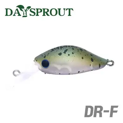 데이스프라우트 리타 DR