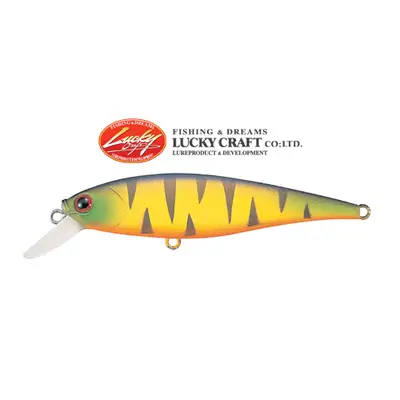 럭키크래프트 포인터 65SP