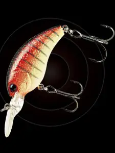 노리스 워밍크랭크샷