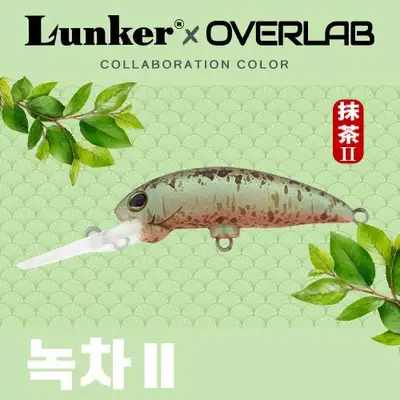 런커 오버랩 콜라보 컬러 녹차2