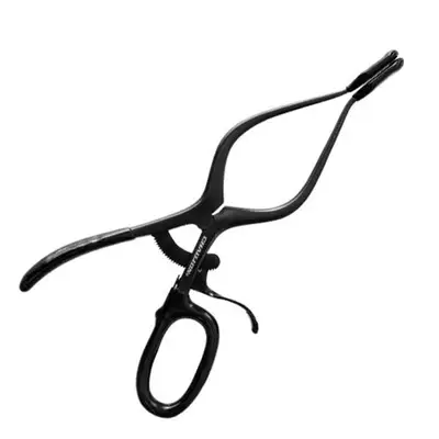 챌리온 마이블랙재규어 스네이크헤드