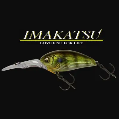 이마가츠 카오스 다이버