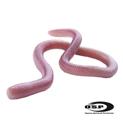 오에스피 미미즈(S)