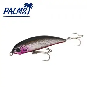 팜스 비트 아츠 립 레스 디그리